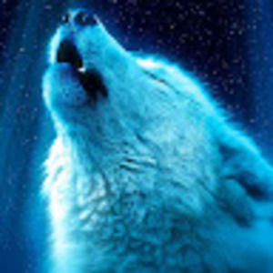 Meet your Posher, Alana